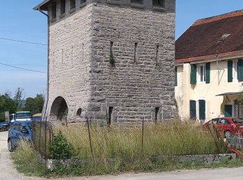 Tocht Stappen Largillay-Marsonnay - Marsonnay Pont de Poitte  - Photo