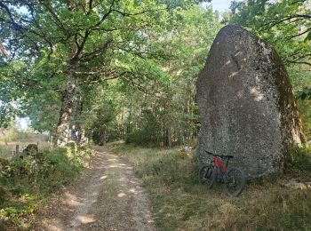 Randonnée Vélo électrique Sébrazac - gohinlac itinéraire 5 + retour Estaing par gr6 - Photo