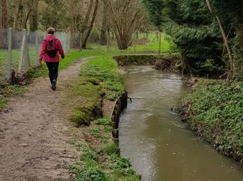 Tocht Stappen Émancé - emancé,  sauvage 16032020 - Photo