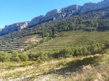 Percorso Marcia Gigondas - les antennes de montmirail - Photo