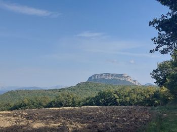 Trail Walking Puy-Saint-Martin - 2022-09-27_14h04m59_10644793 - Photo