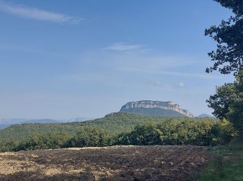 Randonnée Marche Puy-Saint-Martin - Puy St Martin Le Charivari 7km - Photo