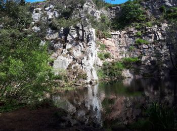 Trail Walking Erquy - Tour du Cap d''Erquy - Photo