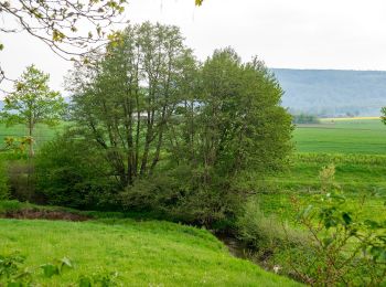 Randonnée A pied Schieder-Schwalenberg - Wanderweg _|_Schieder <-> Elbrinxen - Photo