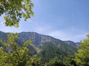 Tour Wandern Le Bourg-d'Oisans - Boucle Bourg d'Oisans - Photo