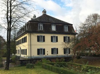 Tour Zu Fuß Möriken-Wildegg - Schloss Brunegg - Chestenberg - Schloss Wildegg - Photo