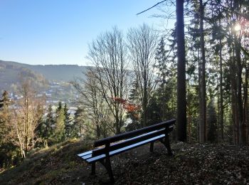 Trail On foot Warmensteinach - Warmensteinach Rundwanderweg Nr. 2 - Photo