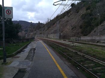 Percorso A piedi Mele - Acquasanta - Passo del Turchino - Photo