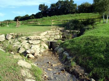 Percorso A piedi Lainville-en-Vexin - PR 41 - Photo