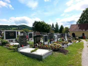 Tocht Te voet Gratwein-Straßengel - Wanderweg 35 - Photo