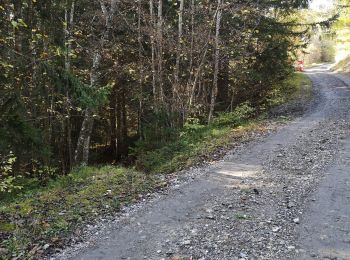 Tour Nordic Walking Ayent - Samarin  - Photo