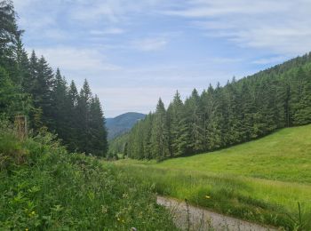Trail Walking Plainfaing - Gazon du Faing - Photo