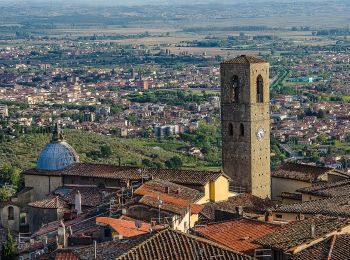 Trail On foot Massa e Cozzile - Anello Croci - Cozzile - Massa - Photo