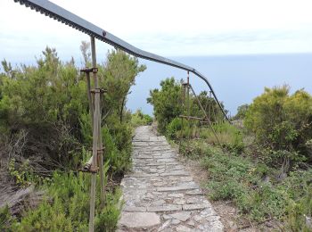 Tour Zu Fuß La Spezia - Fabiano – Mad.na dell'Olmo – Cà Pilloa – Sella Gesuela - Photo