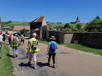 Randonnée Marche Les Sièges - 210613 Les Sièges  - Photo