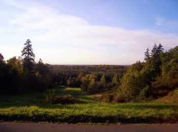 Excursión A pie Dieburg - Rundwanderweg Dieburg Spießfeld 4: Mainzer-Berg-Weg - Photo