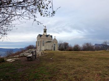 Trail Walking Saint-Jeoire-Prieuré - 2021-02-04 - Photo