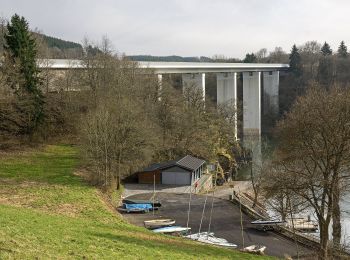 Tour Zu Fuß Stauseegemeinde - Fleche Bleu Lifrange - Photo