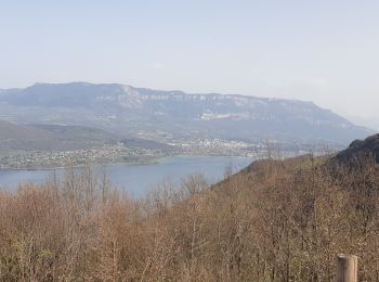 Tocht Mountainbike La Chapelle-du-Mont-du-Chat - col du chat st pierre de curtille - Photo