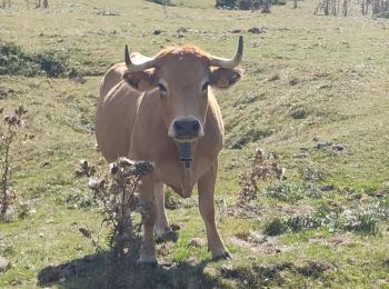 Randonnée Marche Prades - Prades 2024 - Photo