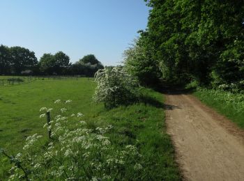 Percorso A piedi South Norfolk - Costessey Circular - Photo