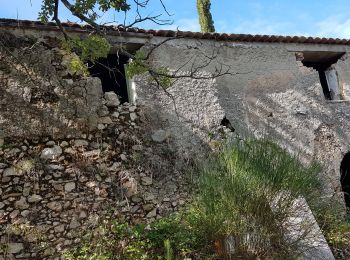 Tocht Stappen Nans-les-Pins - Sainte Baume Source de l'Huveaune par chemin des Roys depuis  Nans les pins  - Photo