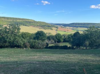 Trail Walking Châteauneuf - Châteauneuf - Photo