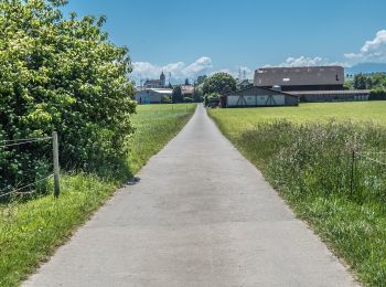 Tour Zu Fuß Beromünster - Gormund - Weier - Neudorf - Photo