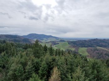 Tour Wandern Oberkirch - 2024 - Oberkirch Brennersteig  - Photo