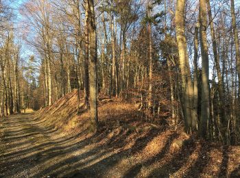 Tour Zu Fuß Winterthur - Winterthur Töss - Pfungen - Photo