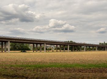 Randonnée A pied Eltmann - Rundweg Eltmann - Photo