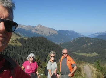 Randonnée Marche Verchaix - Col de joux plane - Photo