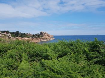 Trail Walking Perros-Guirec - la côte de granit rose à Ploumanach - Photo