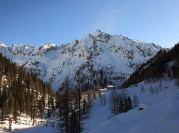 Tocht Te voet Castel Ivano - Sentiero di Rava e di Caldenave - Photo