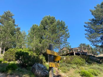 Excursión Senderismo Quenza - Refuge Aline Paliri - Photo