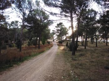 Tocht Stappen L'Isle-sur-la-Sorgue - pernes les icards les mechans les gipieres - Photo