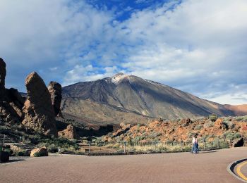 Tour Zu Fuß La Orotava - S-3 Roques de García - Photo