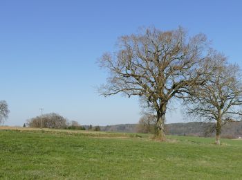 Excursión A pie Glonn - Wanderweg 2, Glonn - Photo