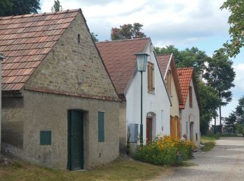 Excursión A pie Berg - Rundwanderweg Königswarte-Hindlerberg - Photo