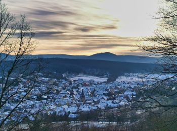 Trail On foot Rosheim - Circuit du Vignoble - Photo