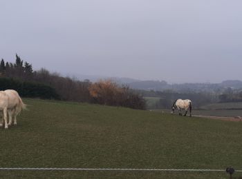 Tour Wandern Saint-Lager-Bressac - St Lager de Bressac 7km - Photo