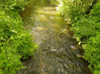 Tocht Stappen Thiré - thire - Photo