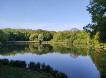 Randonnée Marche Vélizy-Villacoublay - Ville d'Avray depuis Vélizy - Photo