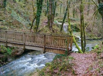 Tocht Stappen Lavans-lès-Saint-Claude - Ponthoux Cuttura  - Photo