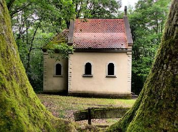 Randonnée Marche Châtenois - Boucle départ D1059 chemin du Heiderbuehl, Chapelle de l'Aigle - Photo