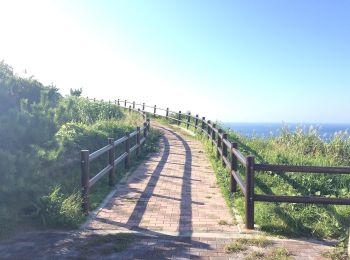 Trail On foot  - 秩父山ハイキングコース - Photo