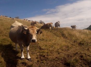 Trail Walking Bussang - les neufs bois depuis la Bouloie - Photo