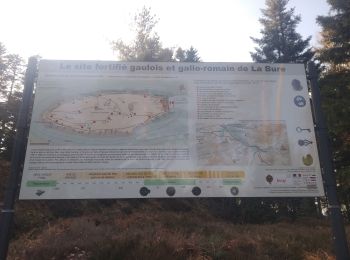 Percorso Mountainbike Saint-Dié-des-Vosges - vtt la voivre La Bure 29-03-19 - Photo