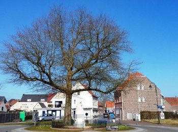 Tour Zu Fuß Zulte - Roger Raveelroute - Photo