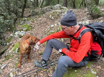 Tocht Stappen Le Broc - Le Broc-Bouyon fait - Photo